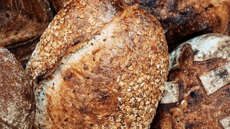 UCO BAKERY Olivar