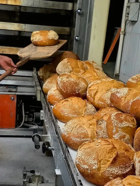 Forn de Pa Santa Teresa - Santa Coloma de Gramenet
