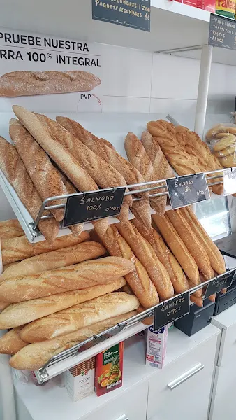 Masa madre