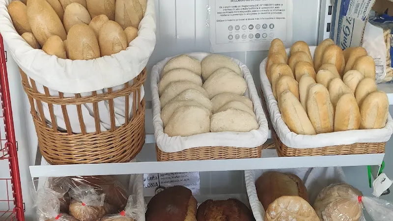 Panaderia Bolonia Horno De Leña - Tarifa