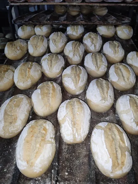 Panadería Tradición Cordobesa S L - Córdoba