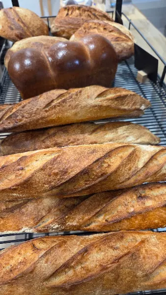 Bole Obrador - Madrid