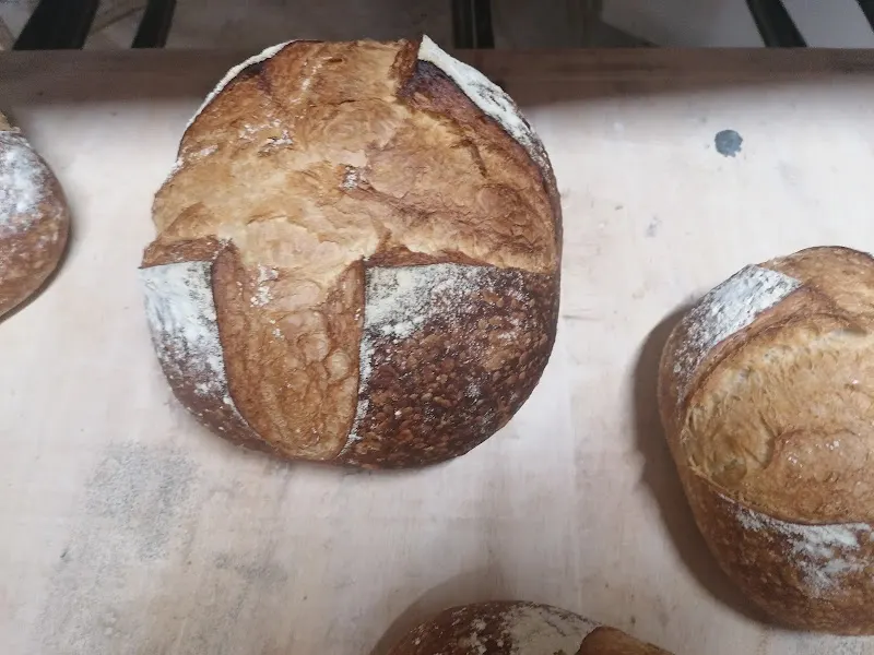 Forn de Pa Massana S.L.